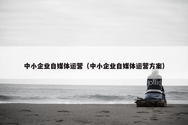中小企业自媒体运营（中小企业自媒体运营方案）