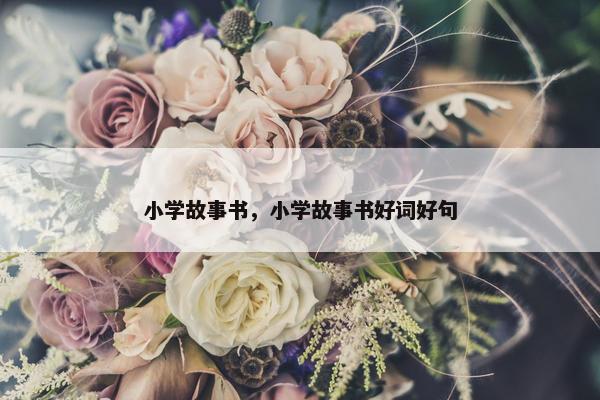小学故事书，小学故事书好词好句