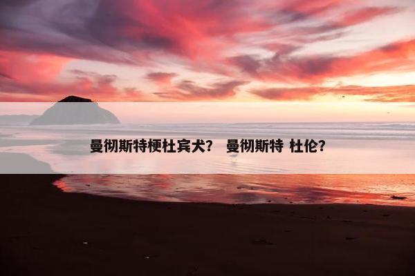 曼彻斯特梗杜宾犬？ 曼彻斯特 杜伦？