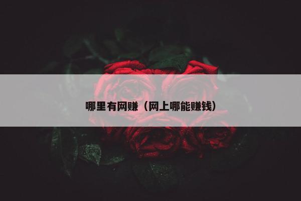 哪里有网赚（网上哪能赚钱）