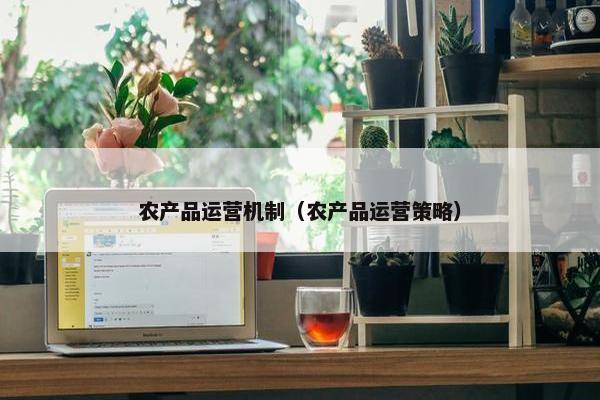 农产品运营机制（农产品运营策略）