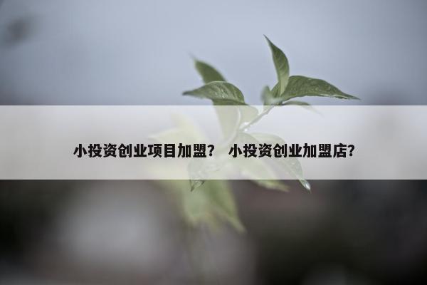 小投资创业项目加盟？ 小投资创业加盟店？