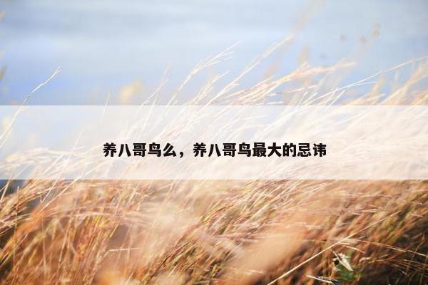 养八哥鸟么，养八哥鸟最大的忌讳