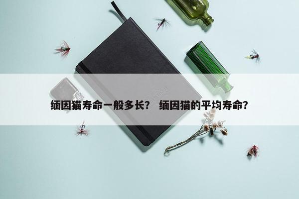 缅因猫寿命一般多长？ 缅因猫的平均寿命？