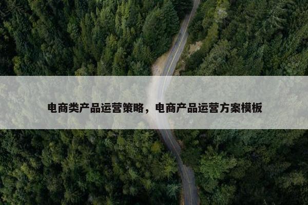 电商类产品运营策略，电商产品运营方案模板