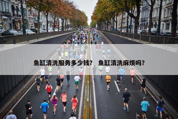 鱼缸清洗服务多少钱？ 鱼缸清洗麻烦吗？
