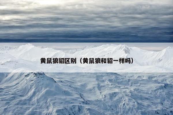 黄鼠狼貂区别（黄鼠狼和貂一样吗）