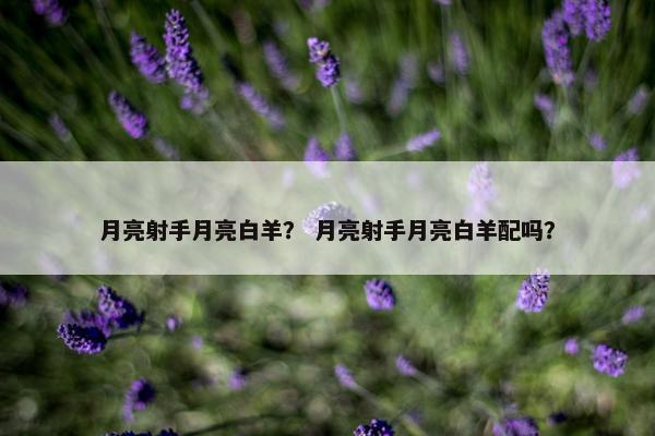月亮射手月亮白羊？ 月亮射手月亮白羊配吗？
