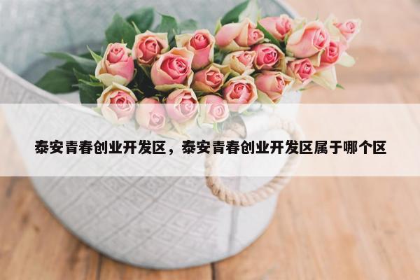 泰安青春创业开发区，泰安青春创业开发区属于哪个区