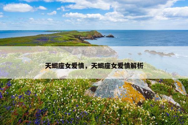天蝎座女爱情，天蝎座女爱情解析