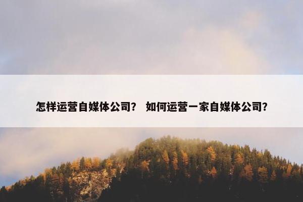 怎样运营自媒体公司？ 如何运营一家自媒体公司？
