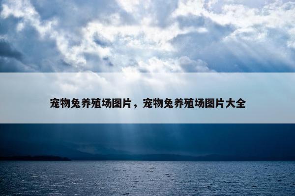 宠物兔养殖场图片，宠物兔养殖场图片大全
