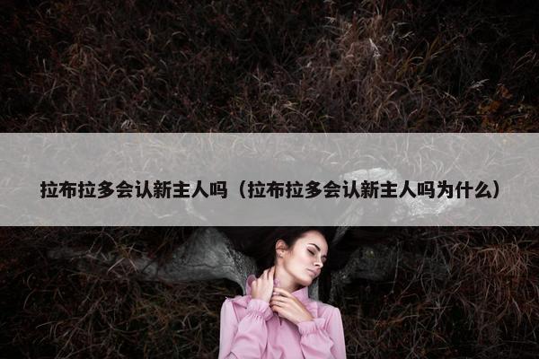 拉布拉多会认新主人吗（拉布拉多会认新主人吗为什么）