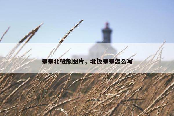 星星北极熊图片，北极星星怎么写