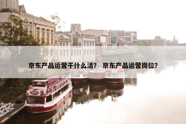 京东产品运营干什么活？ 京东产品运营岗位？