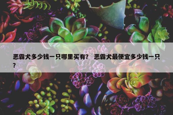 恶霸犬多少钱一只哪里买有？ 恶霸犬最便宜多少钱一只？