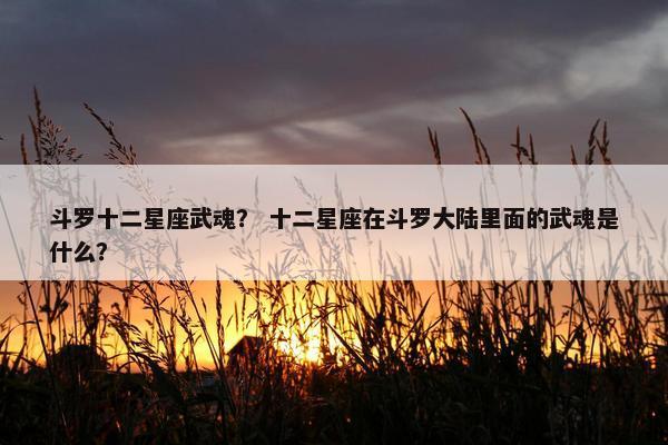 斗罗十二星座武魂？ 十二星座在斗罗大陆里面的武魂是什么？