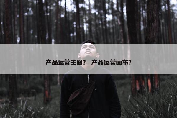 产品运营主图？ 产品运营画布？