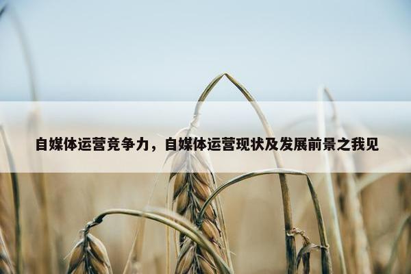 自媒体运营竞争力，自媒体运营现状及发展前景之我见