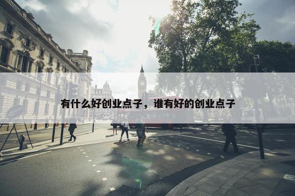 有什么好创业点子，谁有好的创业点子