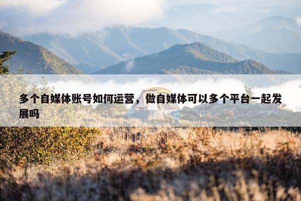 多个自媒体账号如何运营，做自媒体可以多个平台一起发展吗