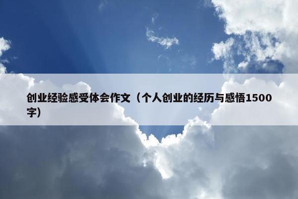 创业经验感受体会作文（个人创业的经历与感悟1500字）