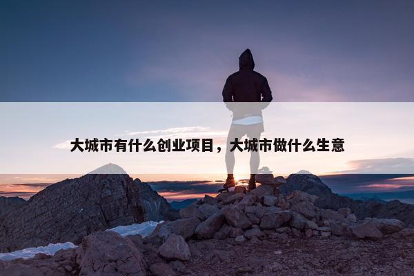 大城市有什么创业项目，大城市做什么生意
