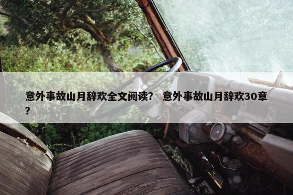 意外事故山月辞欢全文阅读？ 意外事故山月辞欢30章？