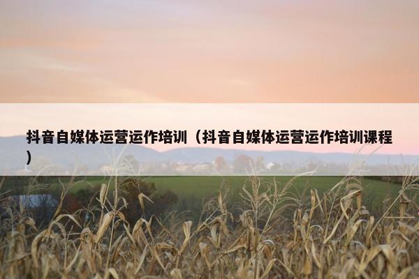 抖音自媒体运营运作培训（抖音自媒体运营运作培训课程）