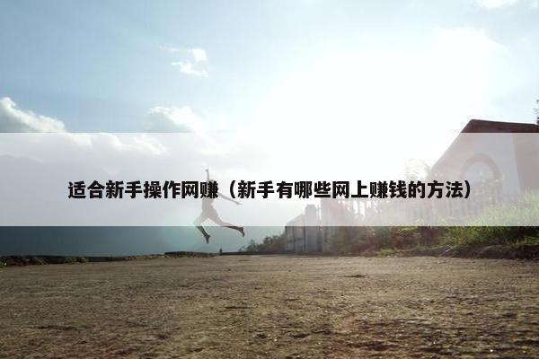 适合新手操作网赚（新手有哪些网上赚钱的方法）