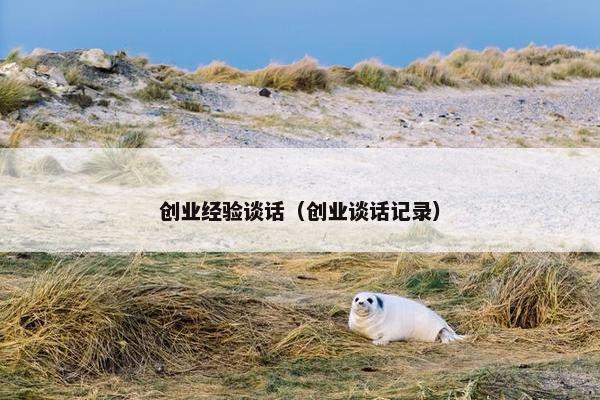 创业经验谈话（创业谈话记录）