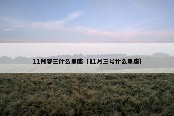 11月零三什么星座（11月三号什么星座）