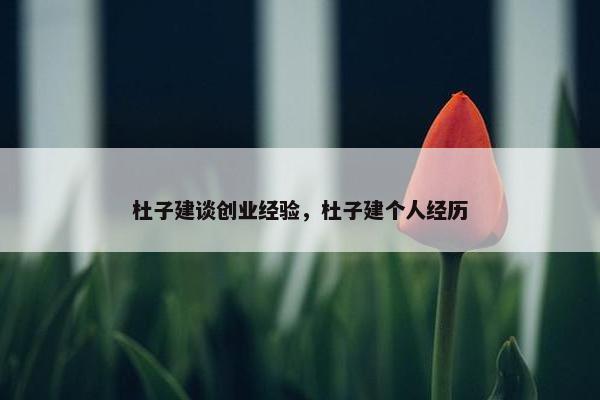 杜子建谈创业经验，杜子建个人经历