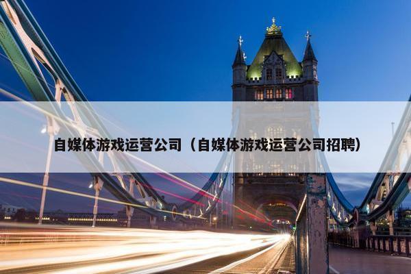 自媒体游戏运营公司（自媒体游戏运营公司招聘）