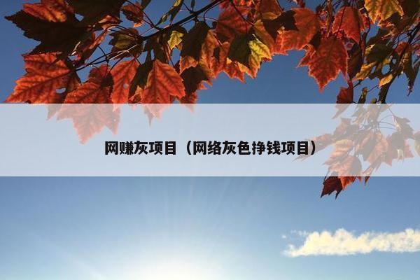 网赚灰项目（网络灰色挣钱项目）