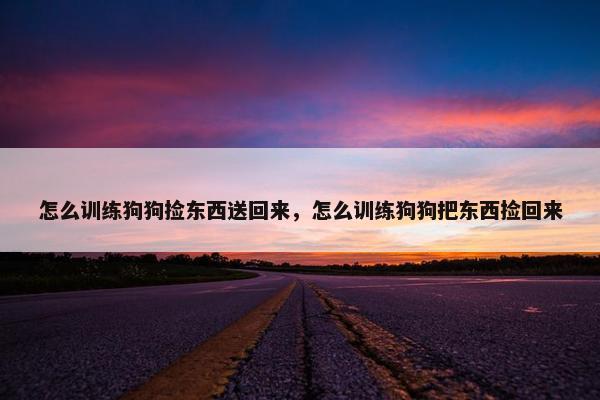 怎么训练狗狗捡东西送回来，怎么训练狗狗把东西捡回来
