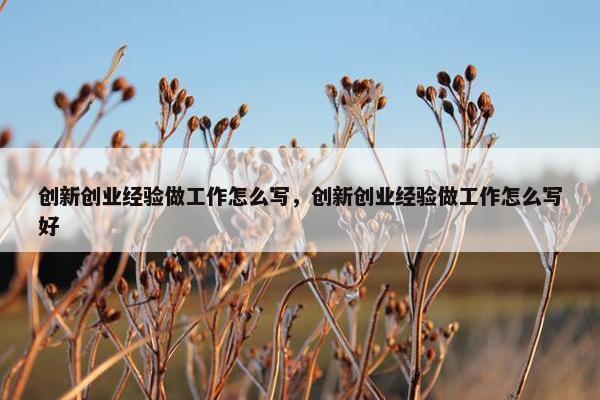 创新创业经验做工作怎么写，创新创业经验做工作怎么写好