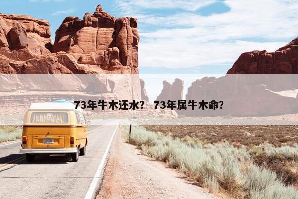 73年牛木还水？ 73年属牛木命？