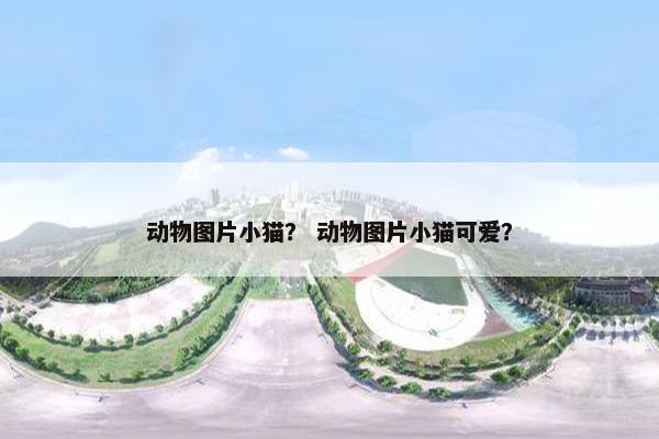 动物图片小猫？ 动物图片小猫可爱？