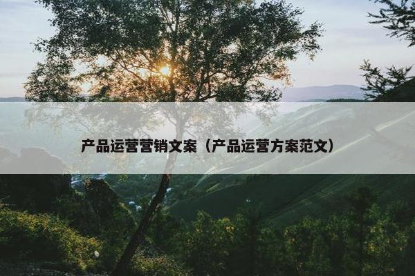 产品运营营销文案（产品运营方案范文）