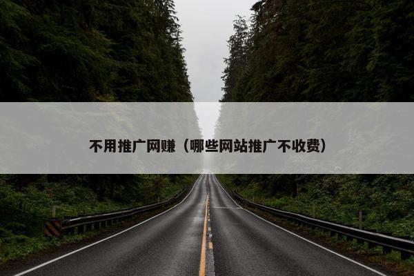 不用推广网赚（哪些网站推广不收费）