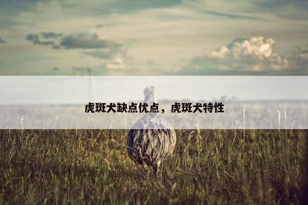 虎斑犬缺点优点，虎斑犬特性