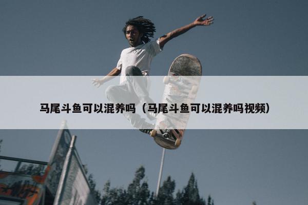 马尾斗鱼可以混养吗（马尾斗鱼可以混养吗视频）