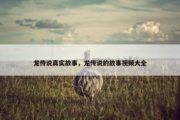 龙传说真实故事，龙传说的故事视频大全