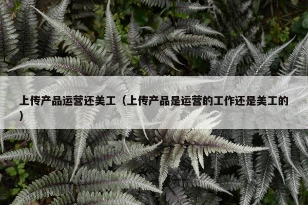 上传产品运营还美工（上传产品是运营的工作还是美工的）