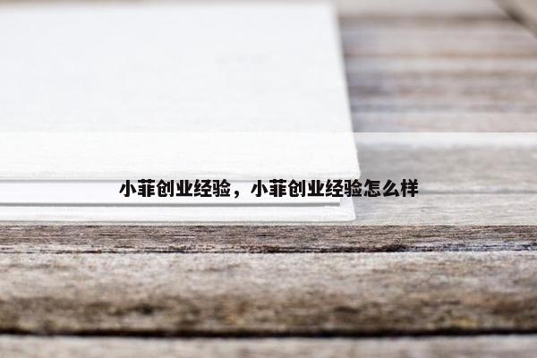 小菲创业经验，小菲创业经验怎么样