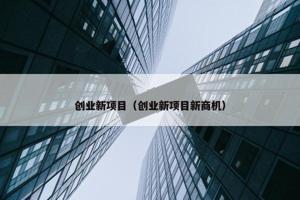 创业新项目（创业新项目新商机）