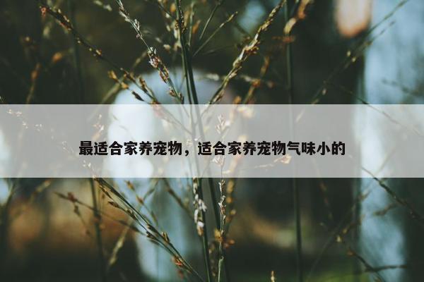 最适合家养宠物，适合家养宠物气味小的