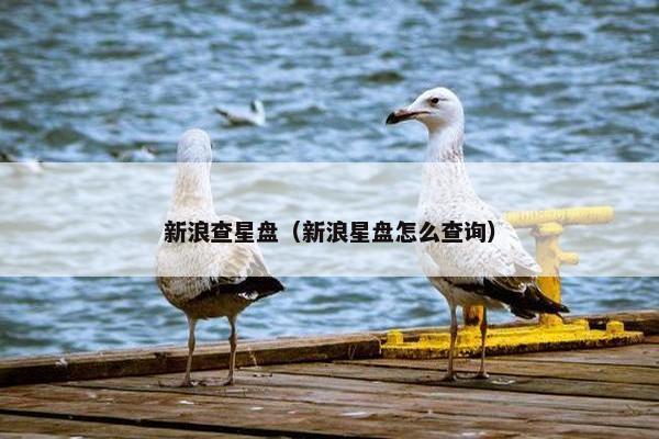新浪查星盘（新浪星盘怎么查询）