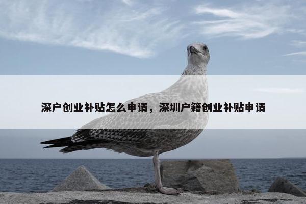 深户创业补贴怎么申请，深圳户籍创业补贴申请
